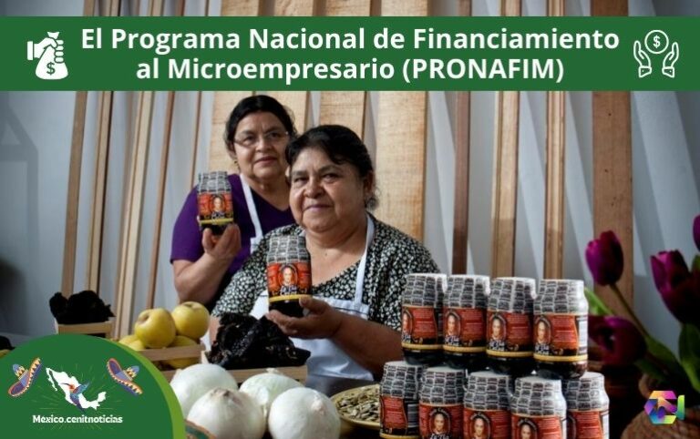 Programa Nacional De Financiamiento Al Microempresario